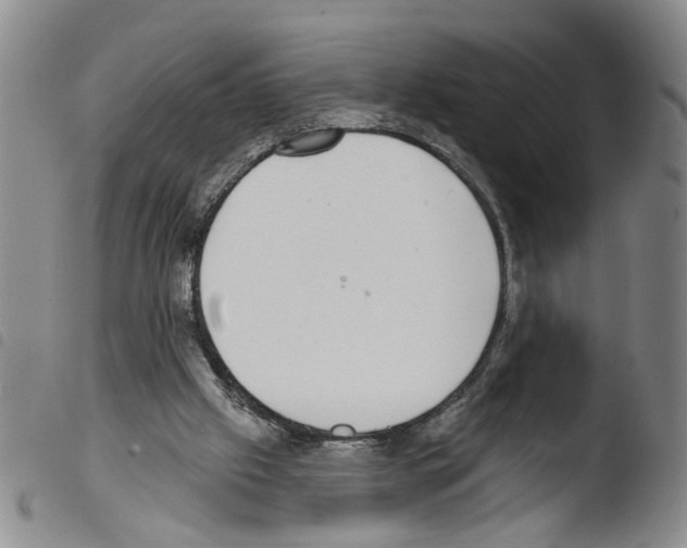 X0000103470057200810241024