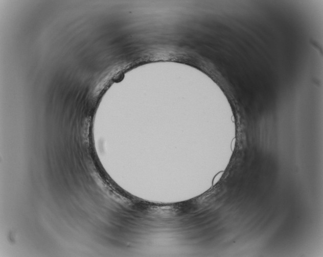 X0000103470058200810241024