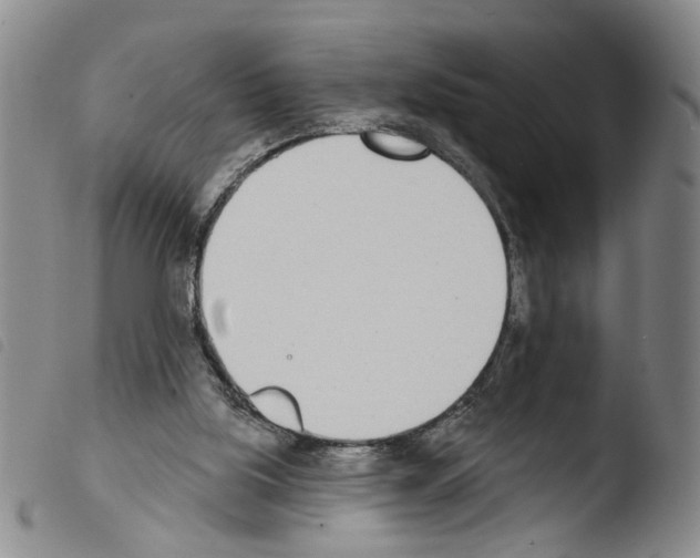 X0000103470059200810241024