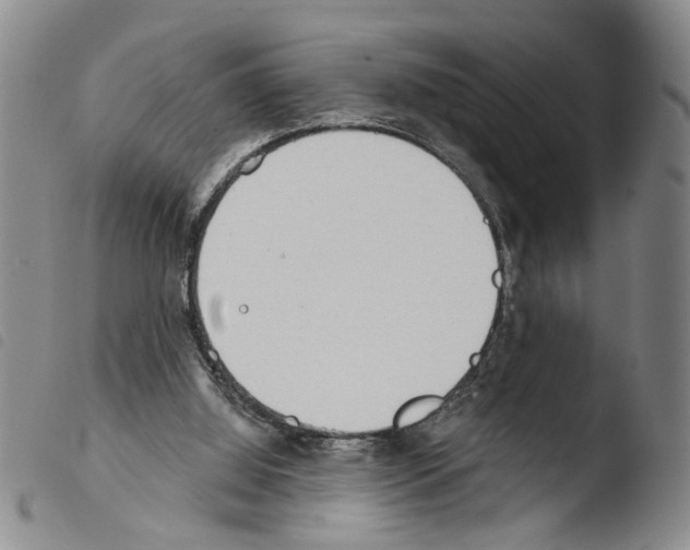 X0000103470060200810241024