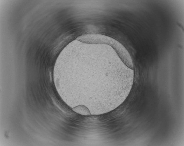 X0000103470061200810241024