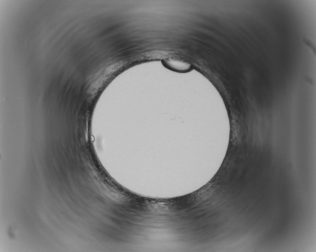 X0000103470062200810241024