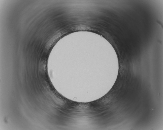 X0000103470063200810241024