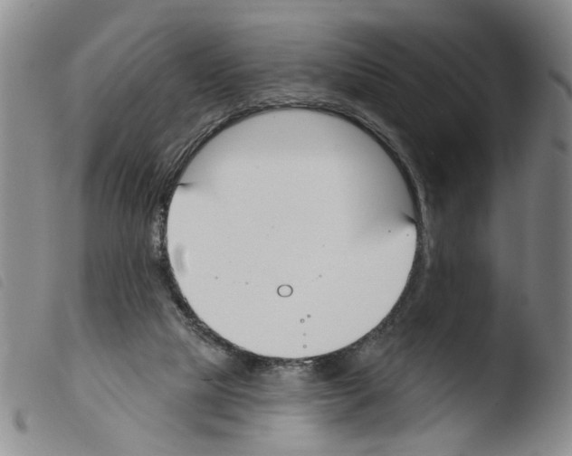 X0000103470065200810241024