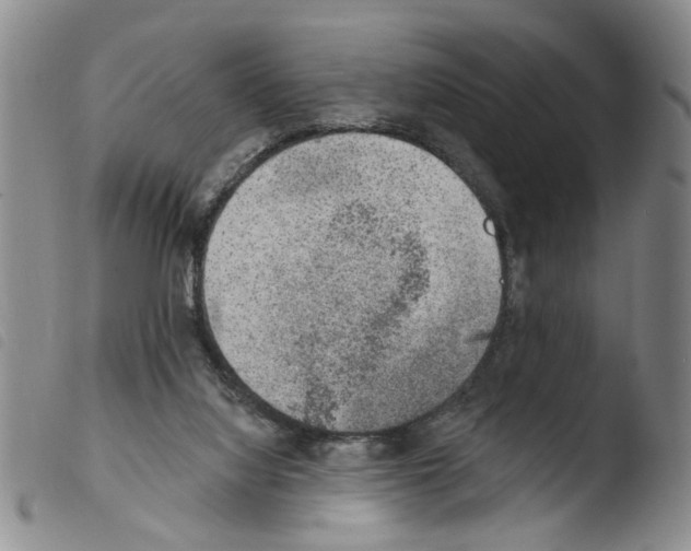 X0000103470068200810241024