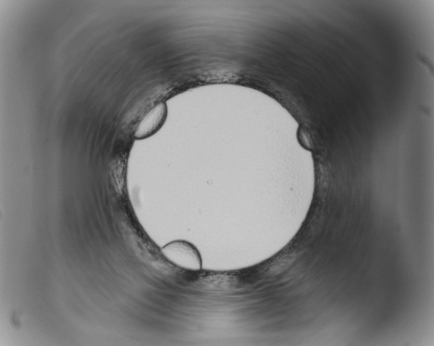 X0000103470069200810241024