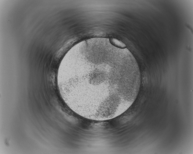 X0000103470072200810241024