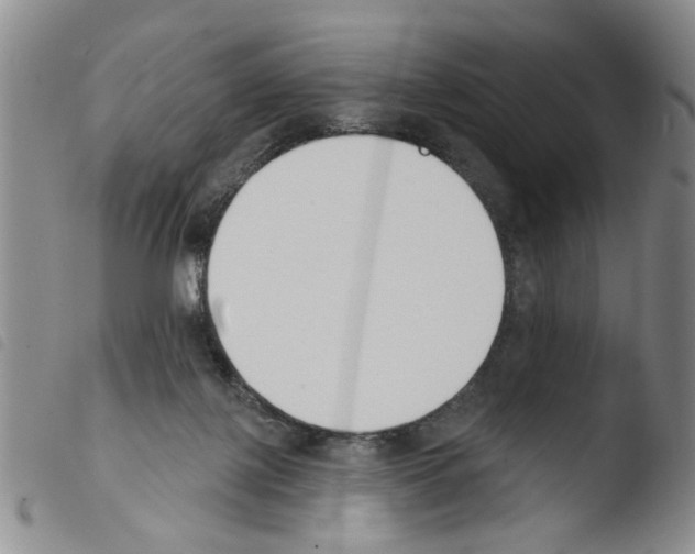 X0000103470075200810241024