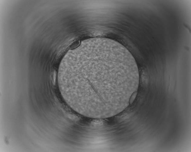 X0000103470076200810241024
