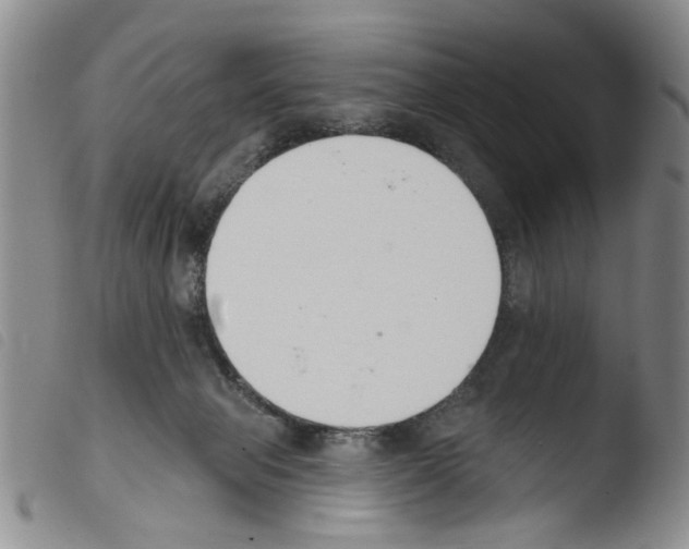 X0000103470077200810241024