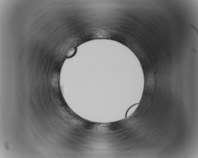 X0000103470078200810241024
