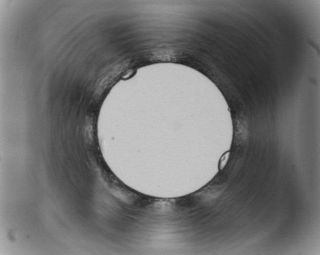 X0000103470080200810241024