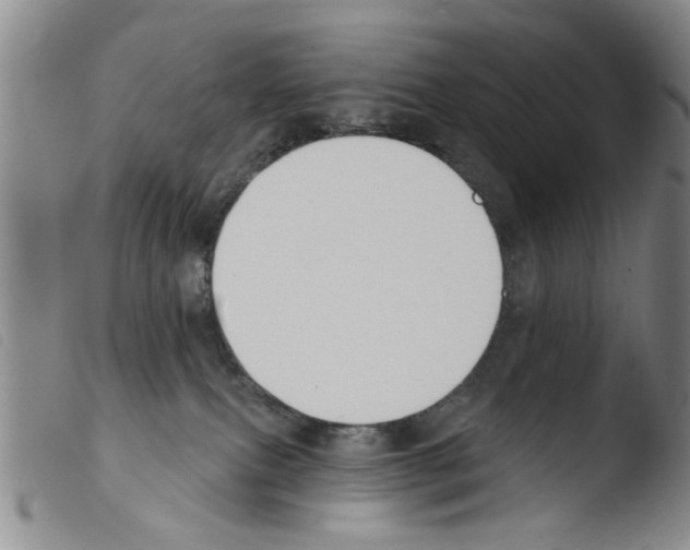 X0000103470087200810241024