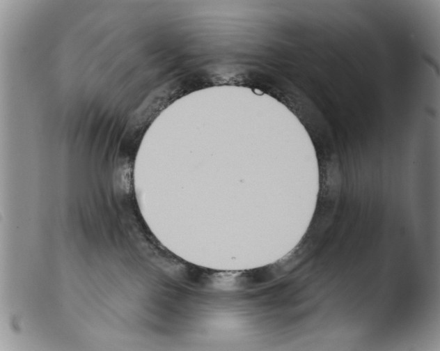 X0000103470090200810241024