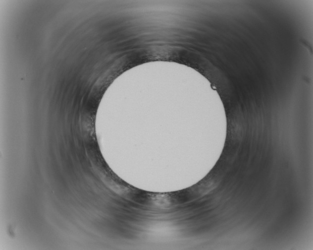 X0000103470091200810241024