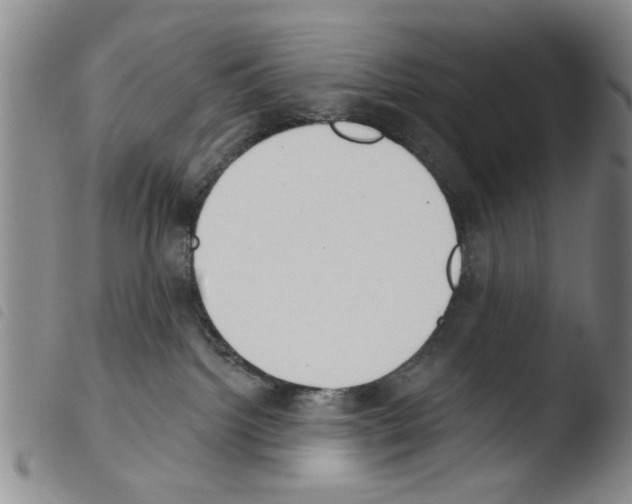 X0000103470092200810241024