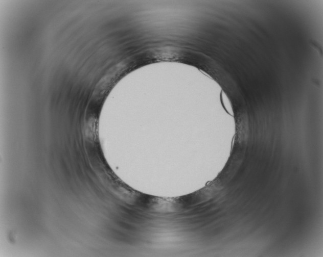 X0000103470093200810241024