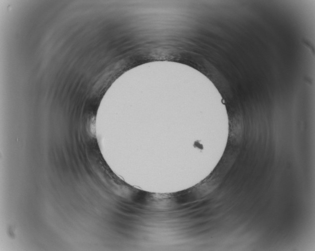 X0000103470095200810241025