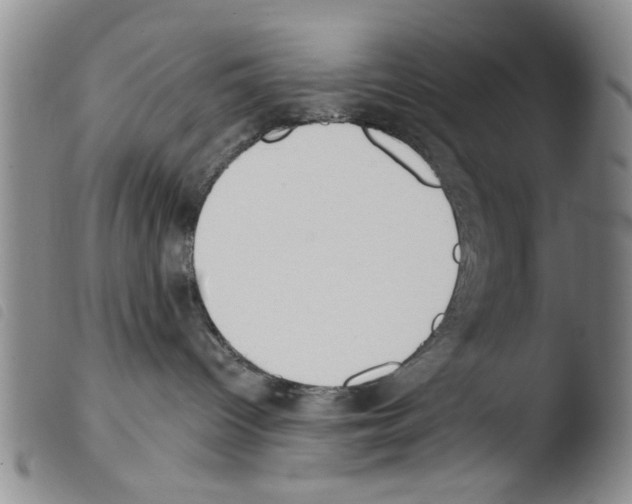 X0000103470096200810241025