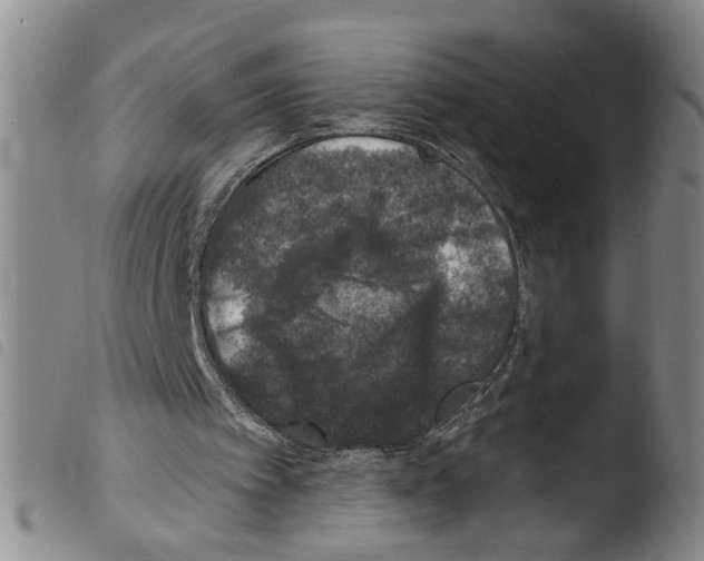 X0000103470097200810241024