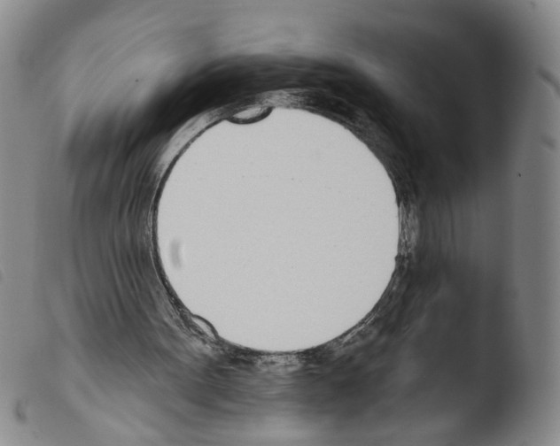 X0000103470099200810241024