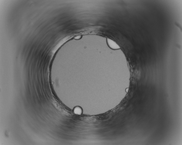 X0000103470100200810241024