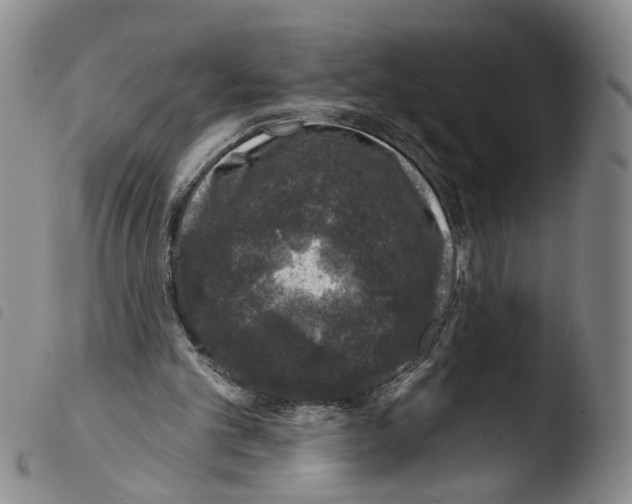 X0000103470101200810241024