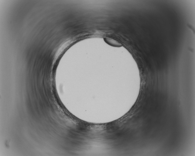 X0000103470102200810241024