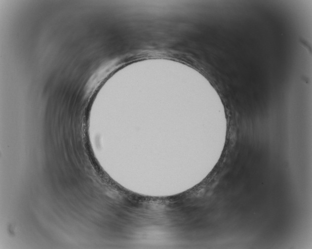X0000103470103200810241024