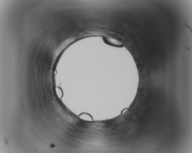 X0000103470104200810241024