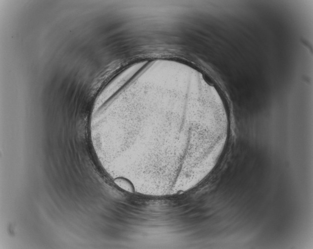 X0000103470105200810241024