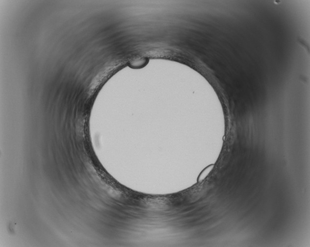 X0000103470106200810241024