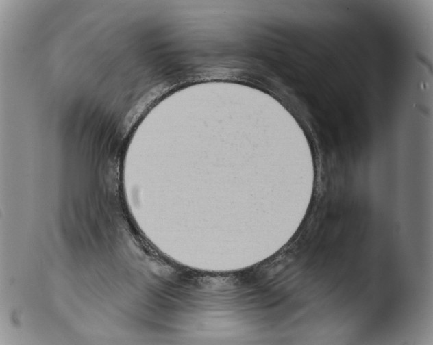 X0000103470107200810241024
