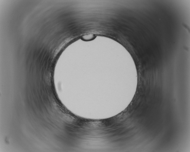 X0000103470108200810241024