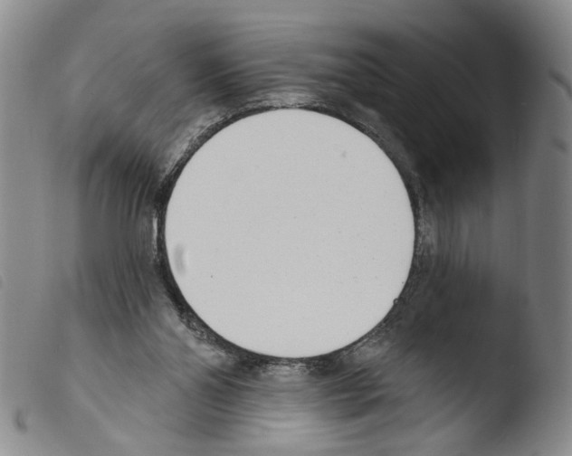 X0000103470110200810241024