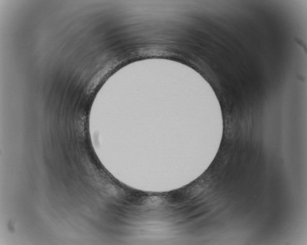 X0000103470111200810241023
