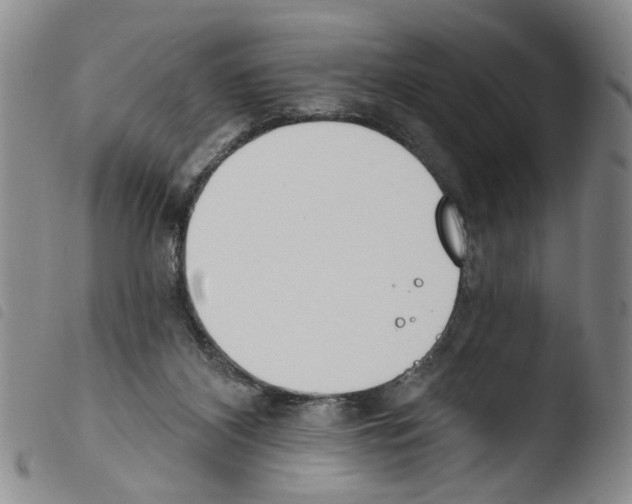 X0000103470116200810241023