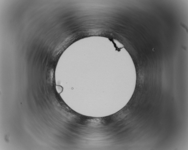 X0000103470118200810241023