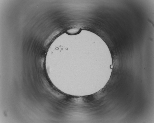 X0000103470120200810241023