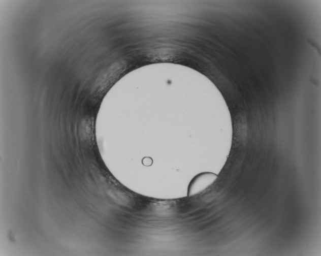 X0000103470126200810241023