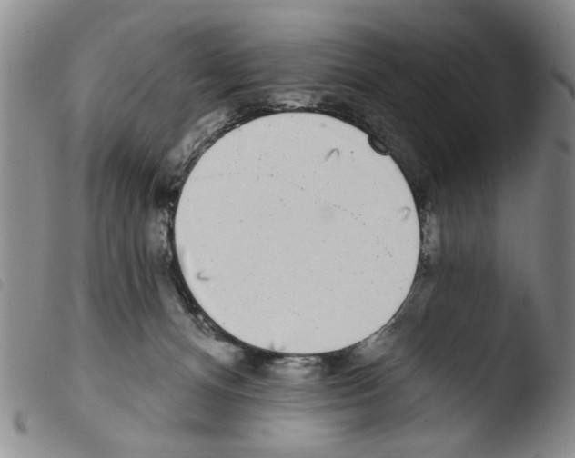 X0000103470128200810241023
