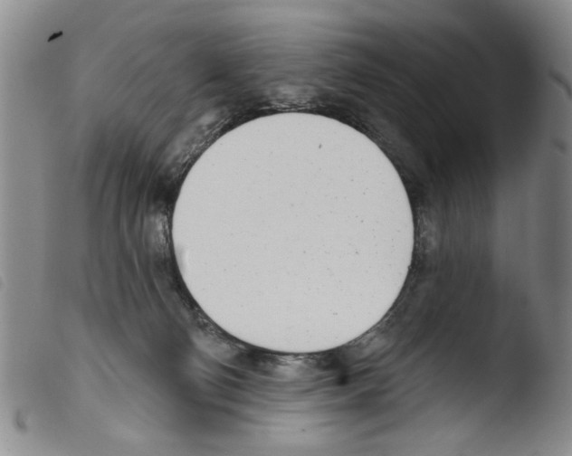 X0000103470130200810241023