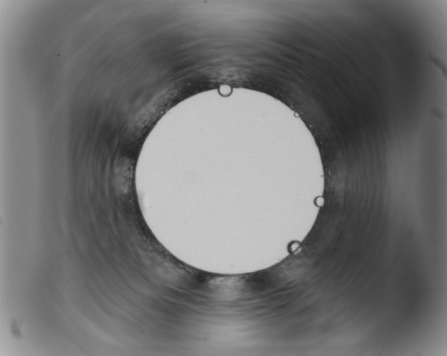 X0000103470133200810241023