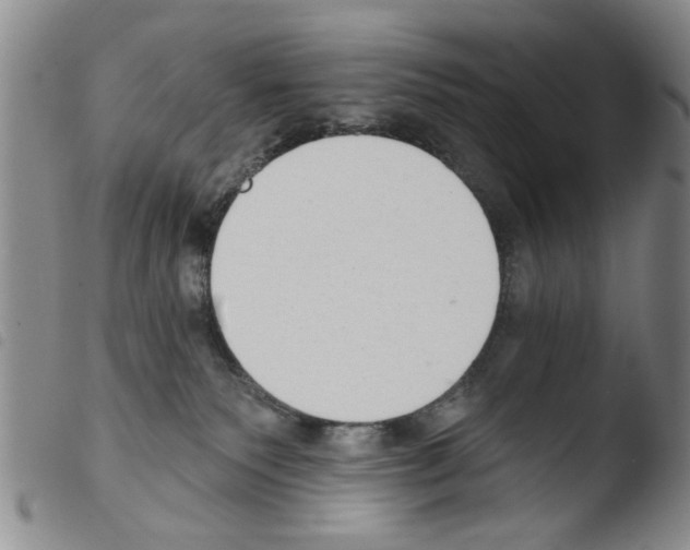 X0000103470135200810241023
