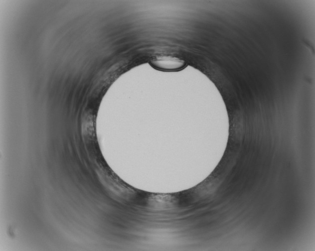 X0000103470137200810241023