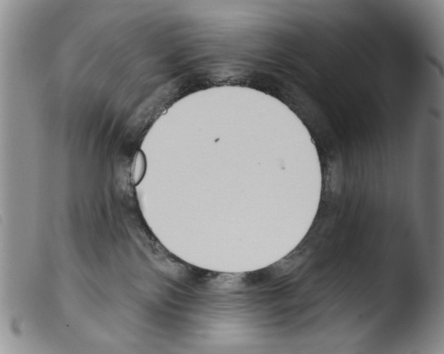X0000103470138200810241023