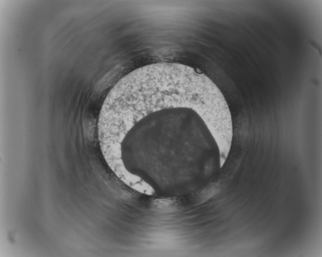 X0000103470139200810241023