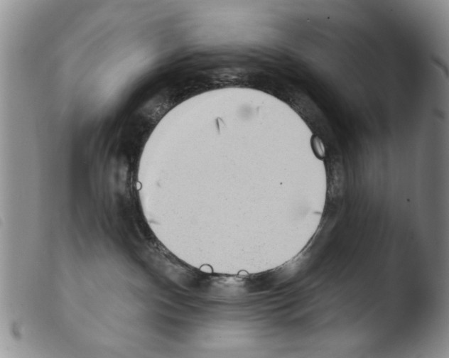 X0000103470140200810241023