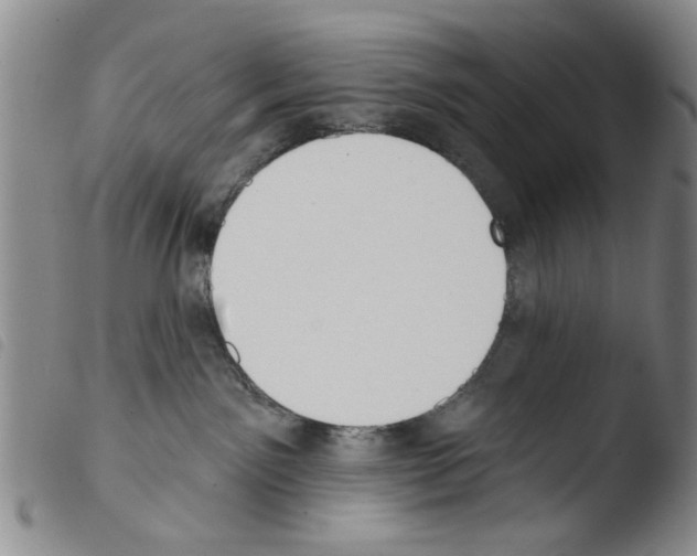 X0000103470141200810241023