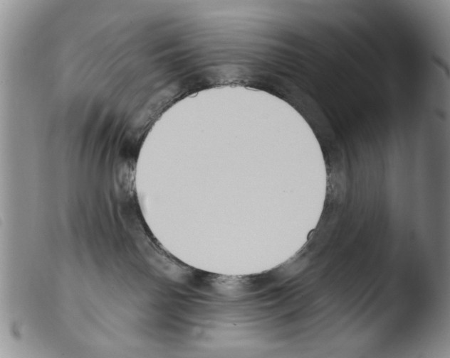 X0000103470142200810241023